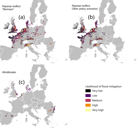 Karttakuva. Blas Mola.