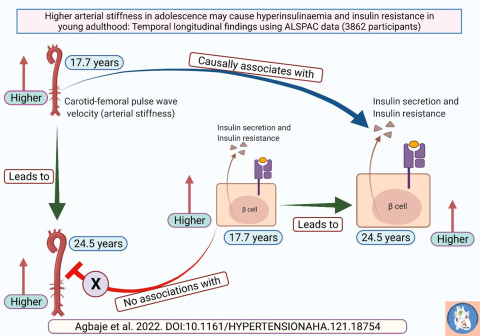 Image: Higher arterial stiffness seems to independently cause hyperinsulinaemia and insulin resistance among adolescents and young adults. The prevention of the risk factors for the development of young-onset type 2 diabetes among the young population may include strategies to reduce arterial stiffness. Image Andrew Agbaje.