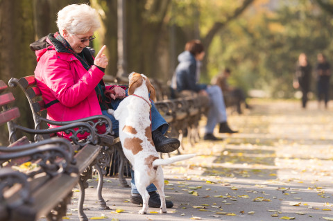 Vanha nainen ja koira.