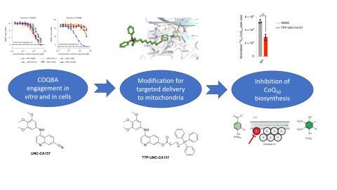 Discovery cascade to identify and validate TPP-UNC-CA157. Image: Christopher Asquith. 