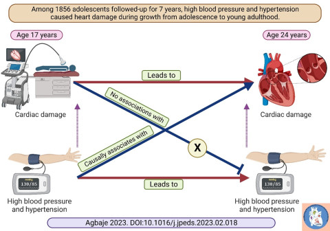 Elevated blood pressure and hypertension may cause premature cardiac damage in youth. Blood pressure screening and prevention are urgently needed in the young population. Image: Andrew Agbaje.