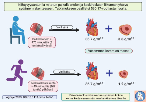 Keskimäärin 8 tuntia paikallaanoloa päivässä voi lisätä sydämen massaa kolme kertaa enemmän kuin 49 minuuttia keskiraskasta liikuntaa päivässä. Nuorten paikallaanoloa pitäisikin pyrkiä vähentämään. Kuva: Andrew Agbaje.