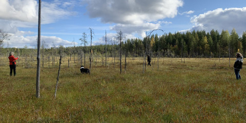 Henkilöitä suolla.
