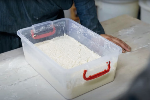 leipäjuurta muovisessa laatikossa.