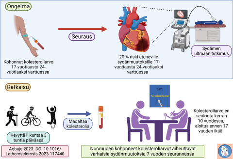 Nuoruuden kohonneet kolesteroliarvot saattavat aiheuttaa sydänmuutoksia nuoruudessa ja varhaisaikuisuudessa, mutta kevyt liikunta voi merkittävästi madaltaa kolesteroliarvoja. Rokotuskorttia muistuttavalla nuorten kolesterolipassilla voitaisiin seurata kolesteroliarvoja kerran kymmenessä vuodessa osana perusterveydenhuoltoa. Kuva: Andrew Agbaje.