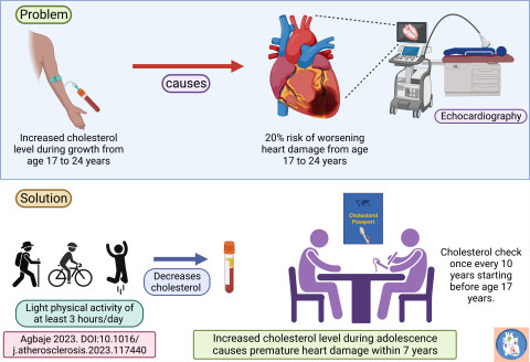 Increased cholesterol levels in adolescence potentially cause heart damage in adolescence and young adulthood, however, light physical activity can significantly reduce cholesterol levels. An adolescent cholesterol passport similar to a vaccination card tracks cholesterol levels during a once-in-10-year visit to a primary health center. Image: Andrew Agbaje.