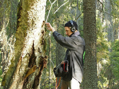 Kuvassa: Olli Aarni äänitystyössä. Kuva: Kaisa Vainio.