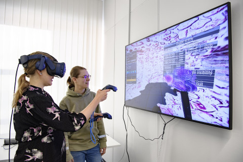 Nainen tutkii kolmeulotteista kasvaimen virtuaalimallia.