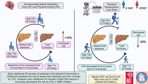 In 2684 children followed up from age 11 to 24 years, increased sedentariness from childhood increased the risk of severe fatty liver diseases and liver cirrhosis. Light physical activity effectively reversed the risk of premature liver damage. Image: Andrew Agbaje.