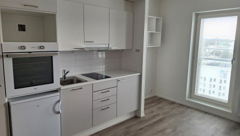 Masto-opiskelijatalon yksiöön tuo luonnonvaloa suuri ikkuna.