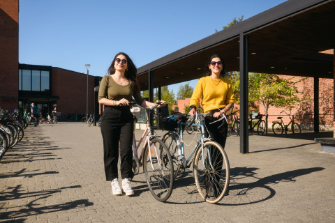 The main image for this degree programme.