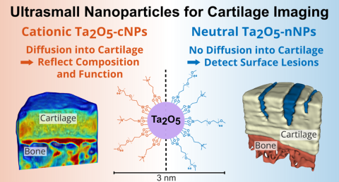 Nanopartikkelit. Kuva Janne Mäkelä.