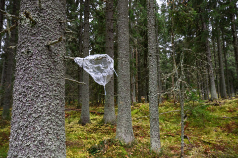 Tutkimuslaitteita metsässä.