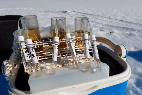 Tutkimusvälineitä. Kuva Jarkko Akkanen.