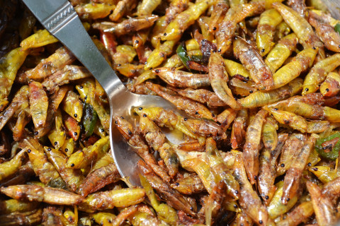Fried grasshoppers and a spoon.