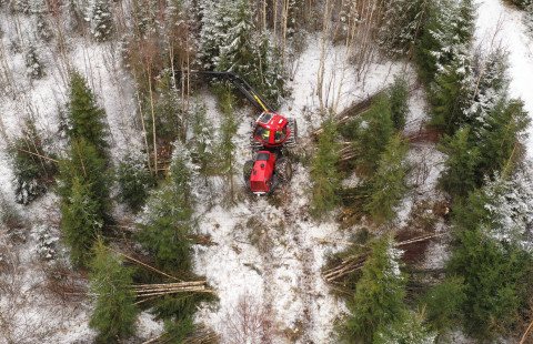 Käytäväharvennuksen tulos ilmasta tarkasteltuna. Kuva: Christian Höök