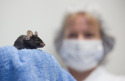 Mouse with animal keeper