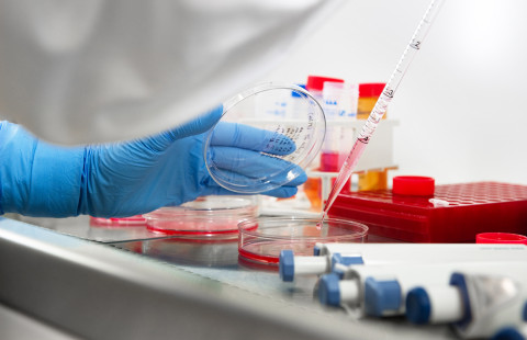 Kantasolulaboratorio