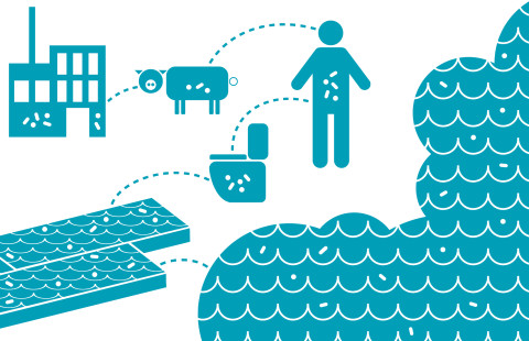 Kuvituskuva lääkkeen kierrosta