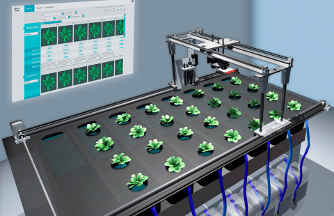 Kasvatusalusta laboratoriossa