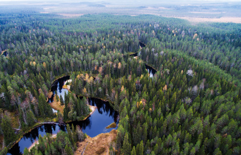 Ilmakuva Koitajoelta