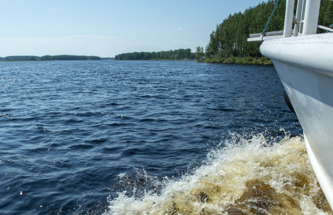Veneen keula halkoo veden pintaa