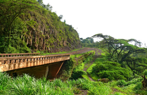 Silta ja metsää Tansaniassa