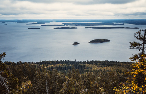 Kuvituskuva suomalaisesta metsä- ja järvimaisemasta.