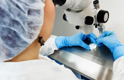 Woman examines a sample with a microscope.