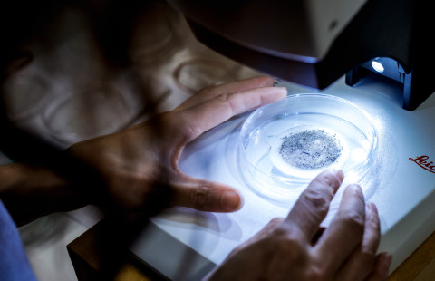 Ympäristötiede_mikromuovi.