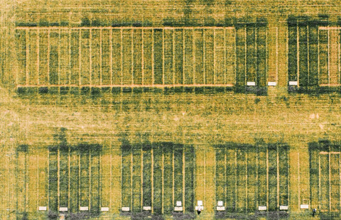 Aerial view of a research field.