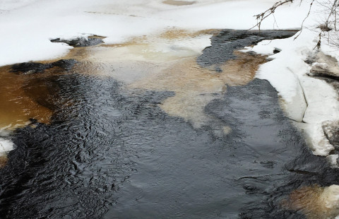 Sävarån in the spring.
