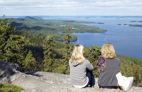 At the top of Koli.
