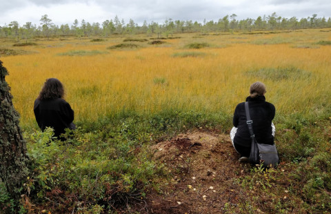Kaksi ihmistä istuu suon laidalla