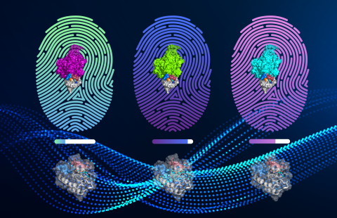 Mallinnuskuvassa RAS-proteiini sitoutuneena efektoriproteiinin kanssa ja yksittäisen KRAS-proteiinin dynaaminen rakenne.