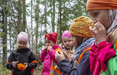 Päiväkotilapset syömässä retkieväitä.