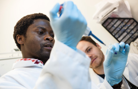 Two men working in a laboratory.