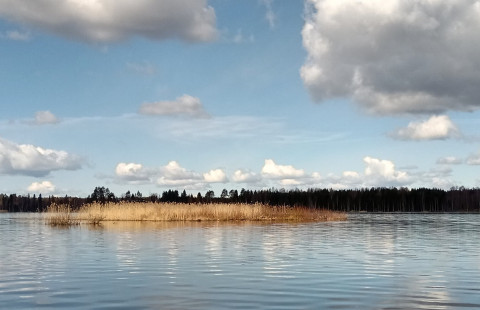 maisemakuva Sysmäjärveltä