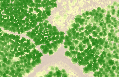 Laserkeilauspistepilvestä muodostettu latvuston korkeusmalli.