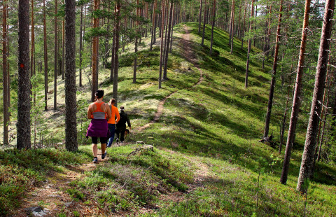 Retkeilijät kulkevat polkua pitkin harjulla.