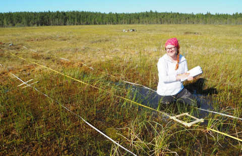 Aapasuo. Kuva Teemu Tahvanainen.