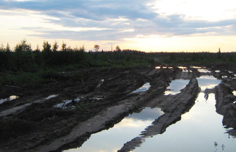 Metsähakkuiden jälkiä maastossa Venäjällä.