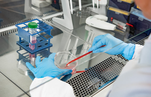 Potilasperäisiä soluja käsitellään laboratoriossa