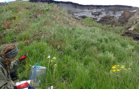 Tutkija maastossa. Kuva: Johanna Kerttula