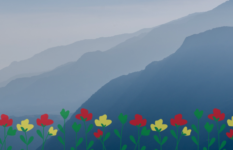 vuoristomaisema, kukkia