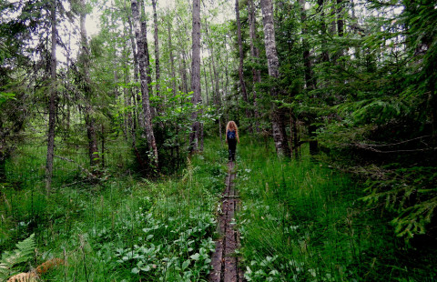 Proffessori Eeva-Stiina Tuittila Lakkasuon tutkimusalueella. Kuva Olivia Kuuri-Riutta_2021.