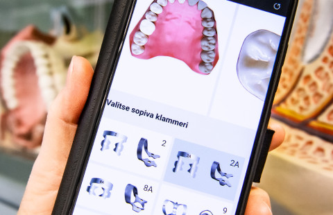 Juurihoitopeli matkapuhelimen näytöllä.