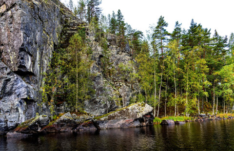 Kaallioseiseinämä ja metsää järven rannalla.