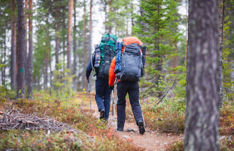 Kaksi henkilöä kävelee polulla rinkat selässä.