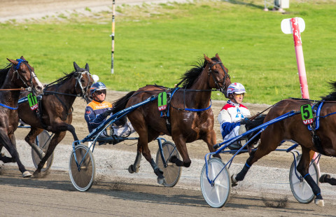 Race horses running on a hippodrome.